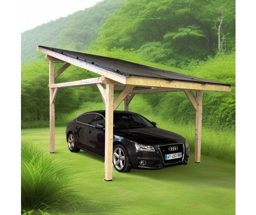 Carport Photovoltaïque Lumio, Douglas en contrecollé non traité, 3.20 x 5.20m, 16.70m²